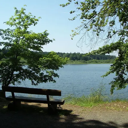 With Terrace And Pool In The Garden *