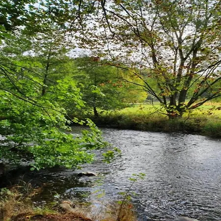 With Terrace And Pool In The Garden Pracht