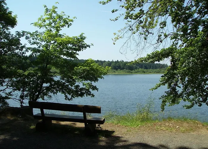 With Terrace And Pool In The Garden *