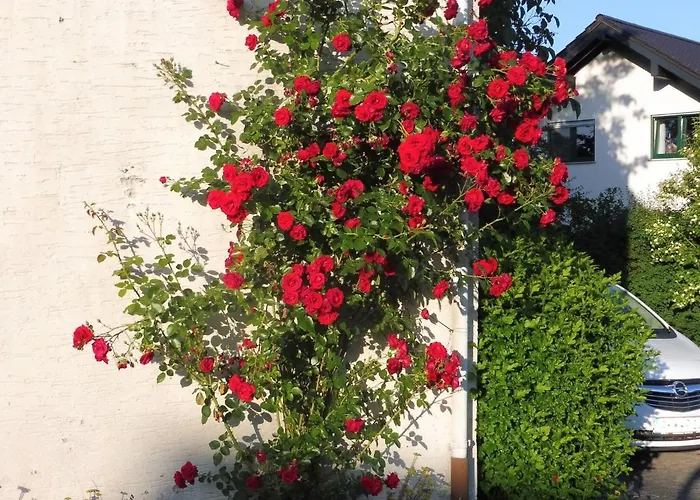 דירה With Terrace And Pool In The Garden Pracht