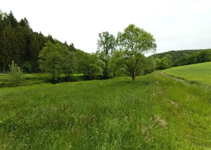 With Terrace And Pool In The Garden