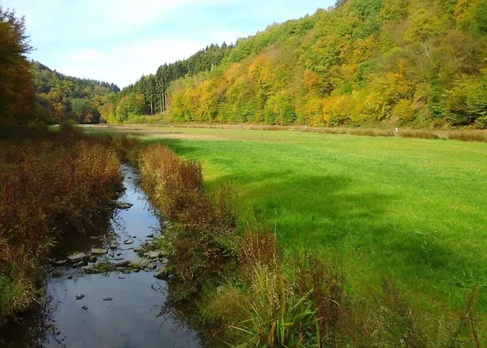 With Terrace And Pool In The Garden Pracht