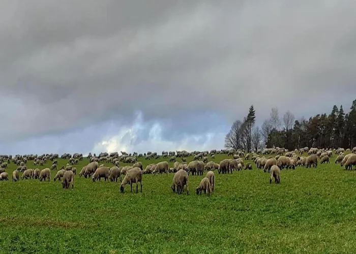 With Terrace And Pool In The Garden דירה