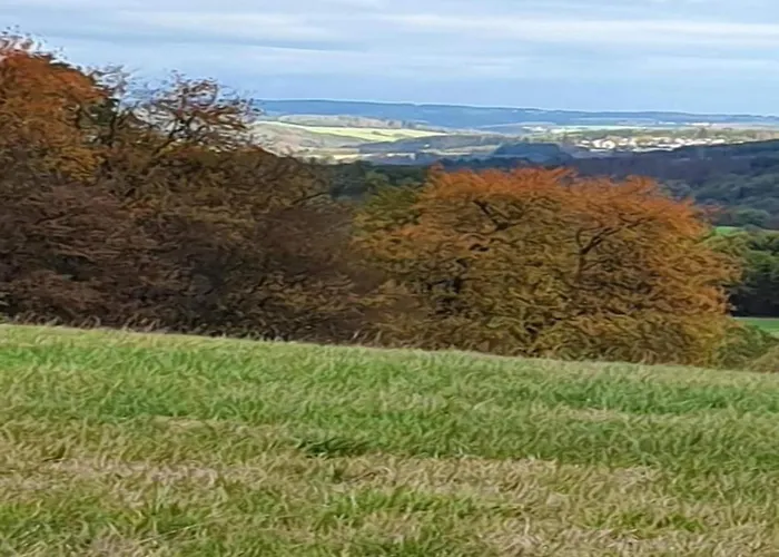 דירה With Terrace And Pool In The Garden *