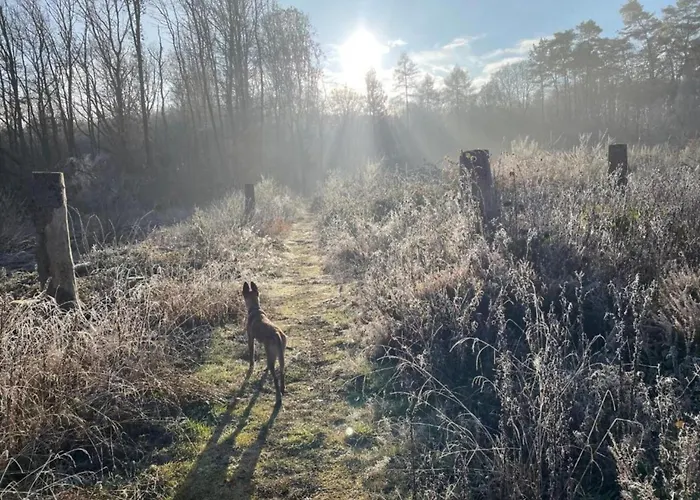דירה With Terrace And Pool In The Garden Pracht