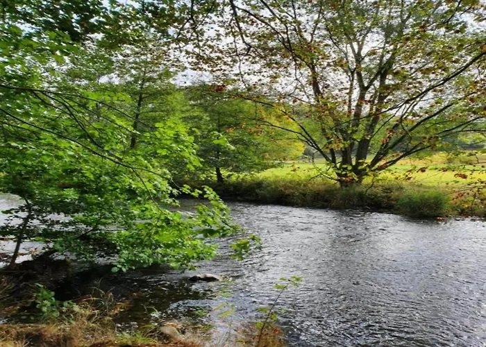 With Terrace And Pool In The Garden Pracht